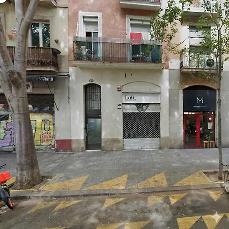 2537 - Ab Sant Antoni