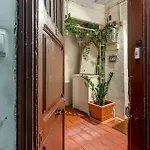 2537 - Ab Sant Antoni