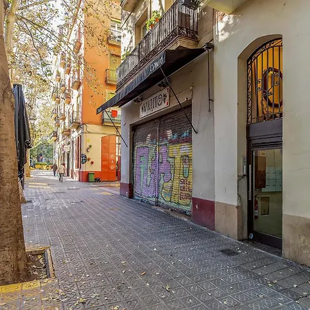 2537 - Ab Sant Antoni