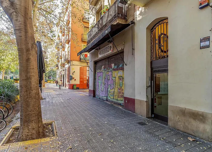 2537 - Ab Sant Antoni